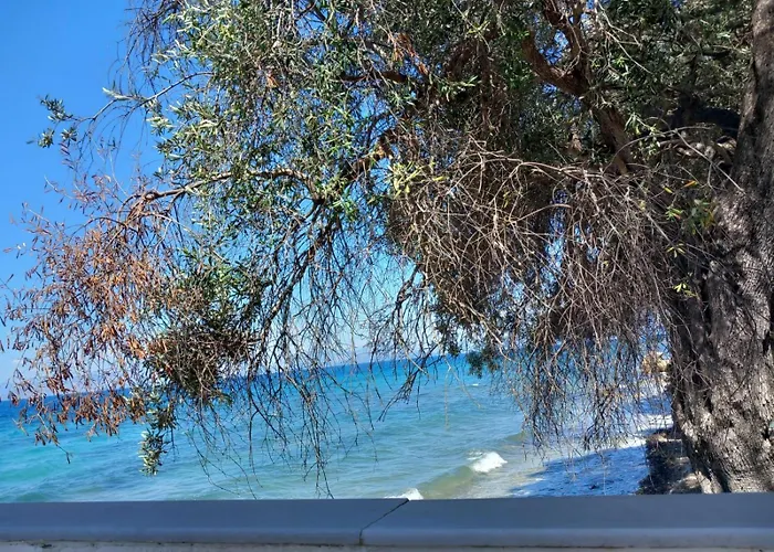 Blue Harbour Petriti (Corfu)